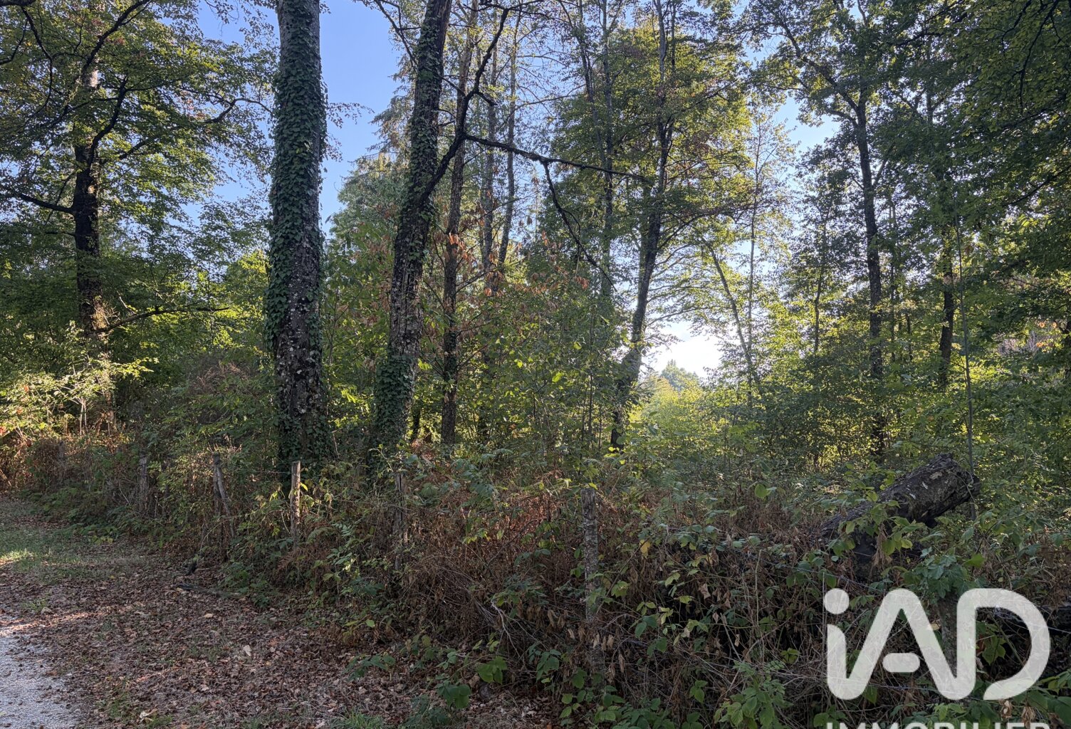 Vente Terrain à bâtir 2 236 m&sup2; — photo 1