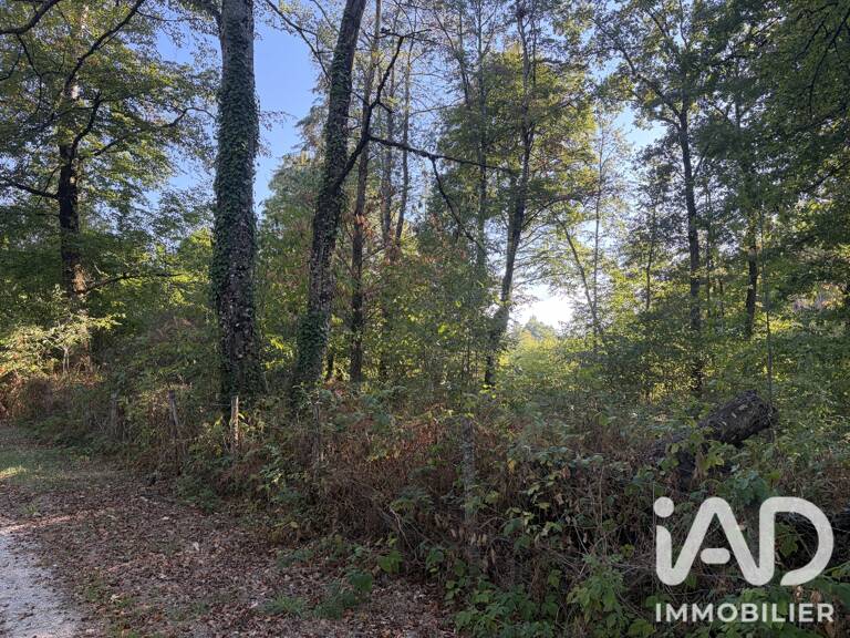 Vente Terrain à bâtir 2 236 m&sup2; — photo 1