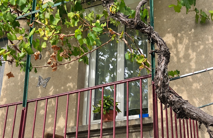 Vente Maison traditionnelle 5 pièces — photo 2