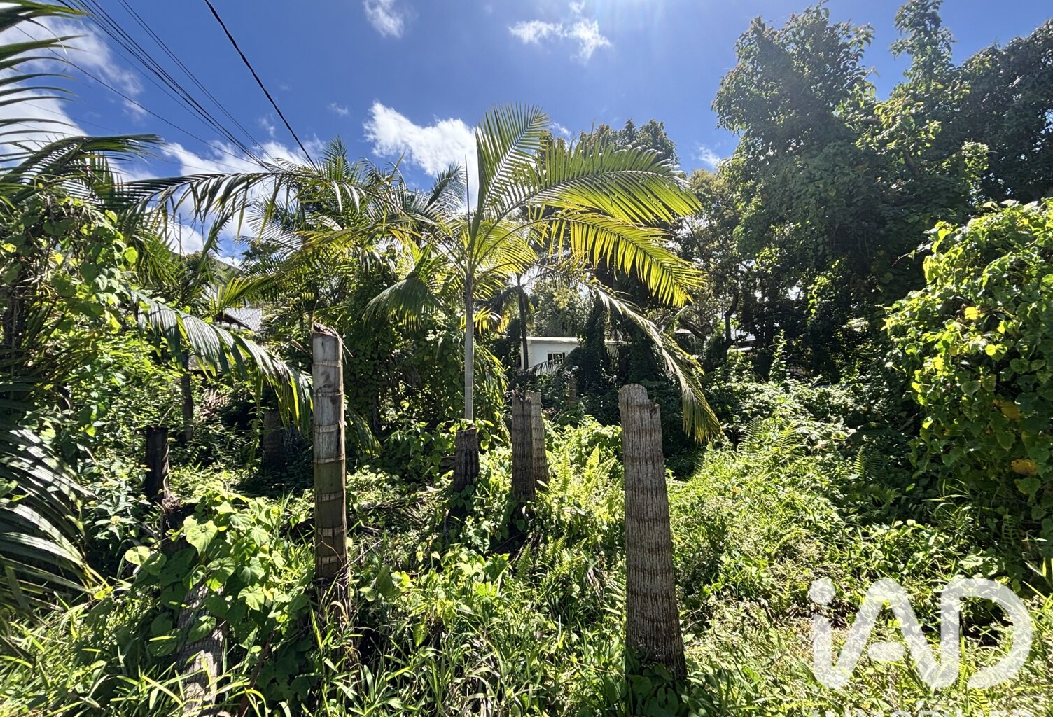 Vente Terrain à bâtir 565 m&sup2; — photo 1