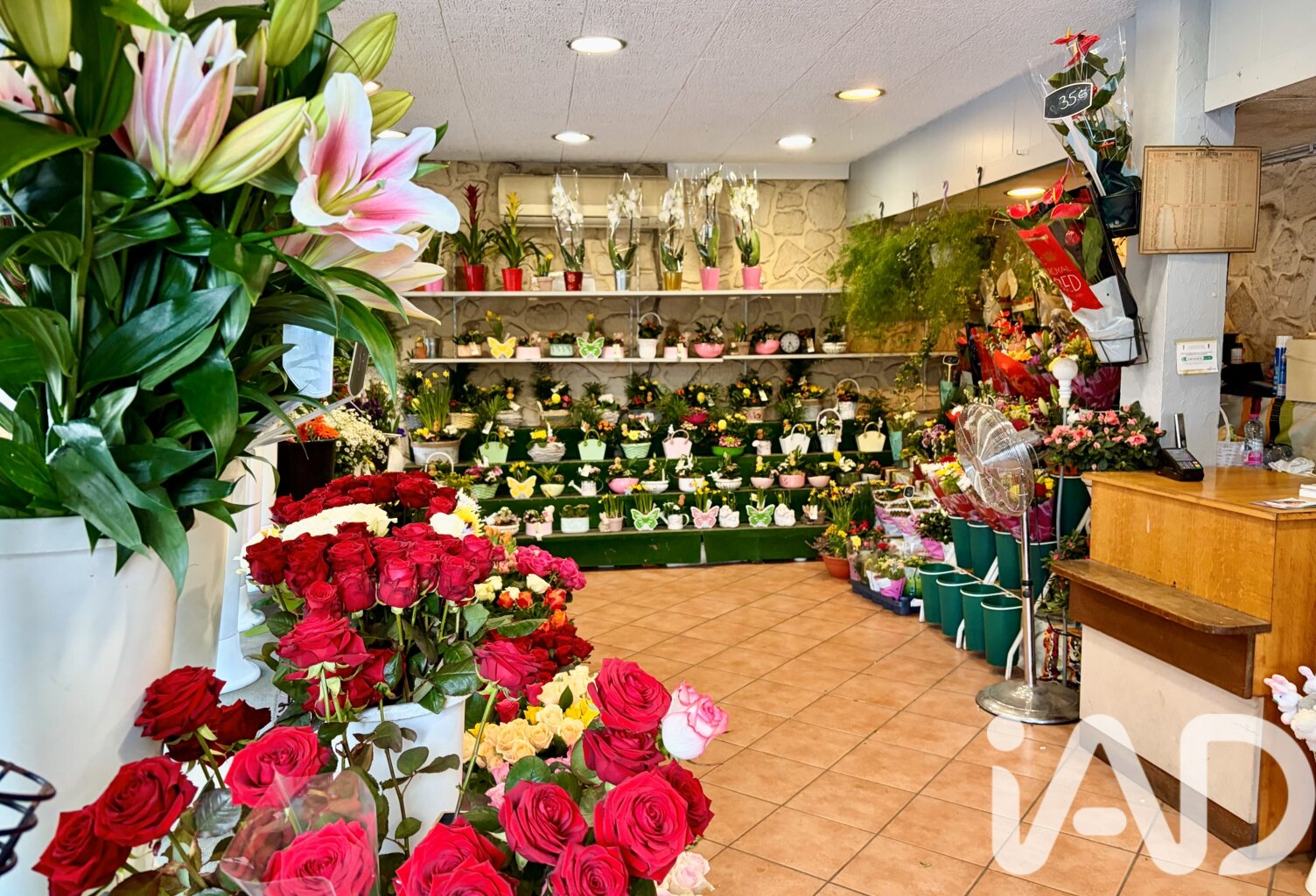 Vente Cadeaux, Fleurs 90 m&sup2; — photo 1