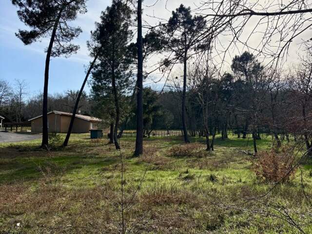 Terrain à bâtir à Casteljaloux (47700) — photo du bien