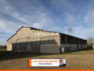 Propriete agricole de 50 hect + 30 HECT à louer ou acheter — photo 4