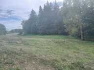 Corps de ferme rénové de 320 m2 habitables avec dépendances et terrain — photo 3