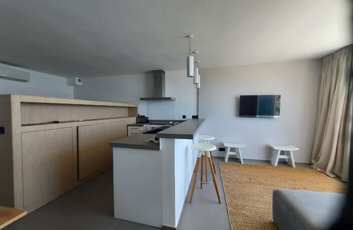 Grand Studio 42m2 les pieds dans l'eau route des Sanguinaire — photo 3