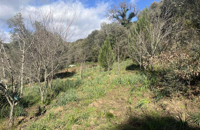 Maison F3 de plain-pied - Terrain de 1800m2  constructible - — photo 4
