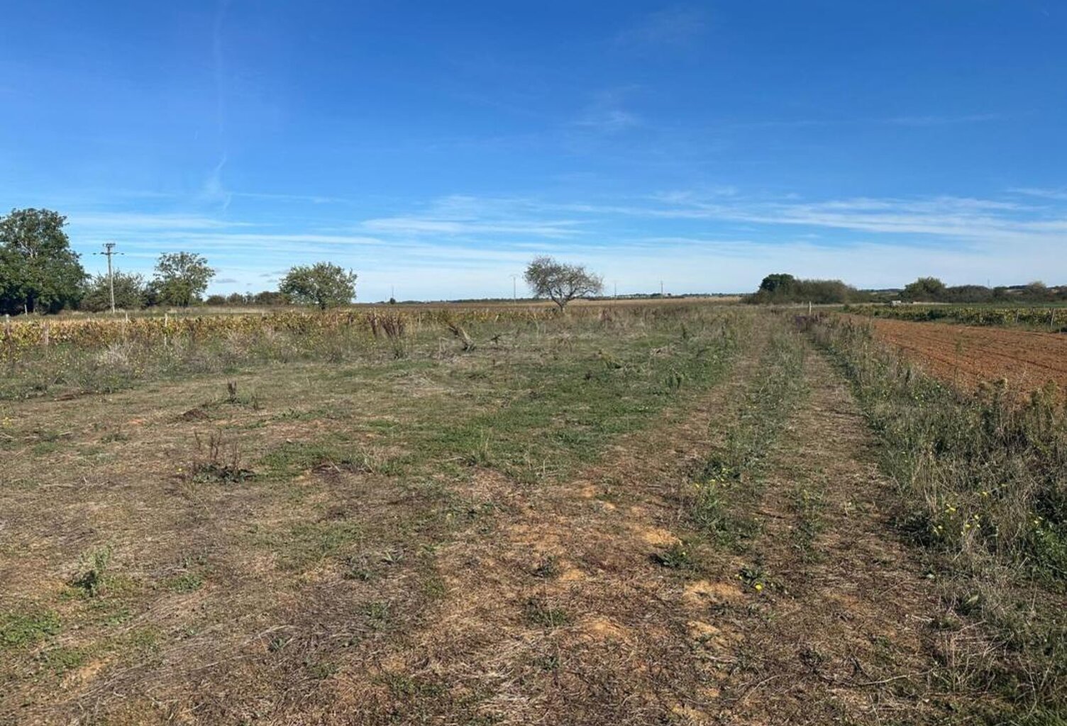 Terrain à vendre de 2 241,00 m² NALLIERS (secteur Chevrette) (85) — photo 1