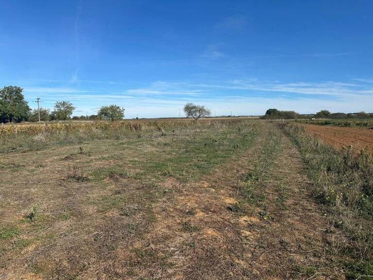 Terrain à vendre de 2 241,00 m² NALLIERS (secteur Chevrette) (85) — photo 1