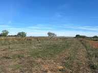 Terrain à vendre de 2 241,00 m² NALLIERS (secteur Chevrette) (85) — photo 3