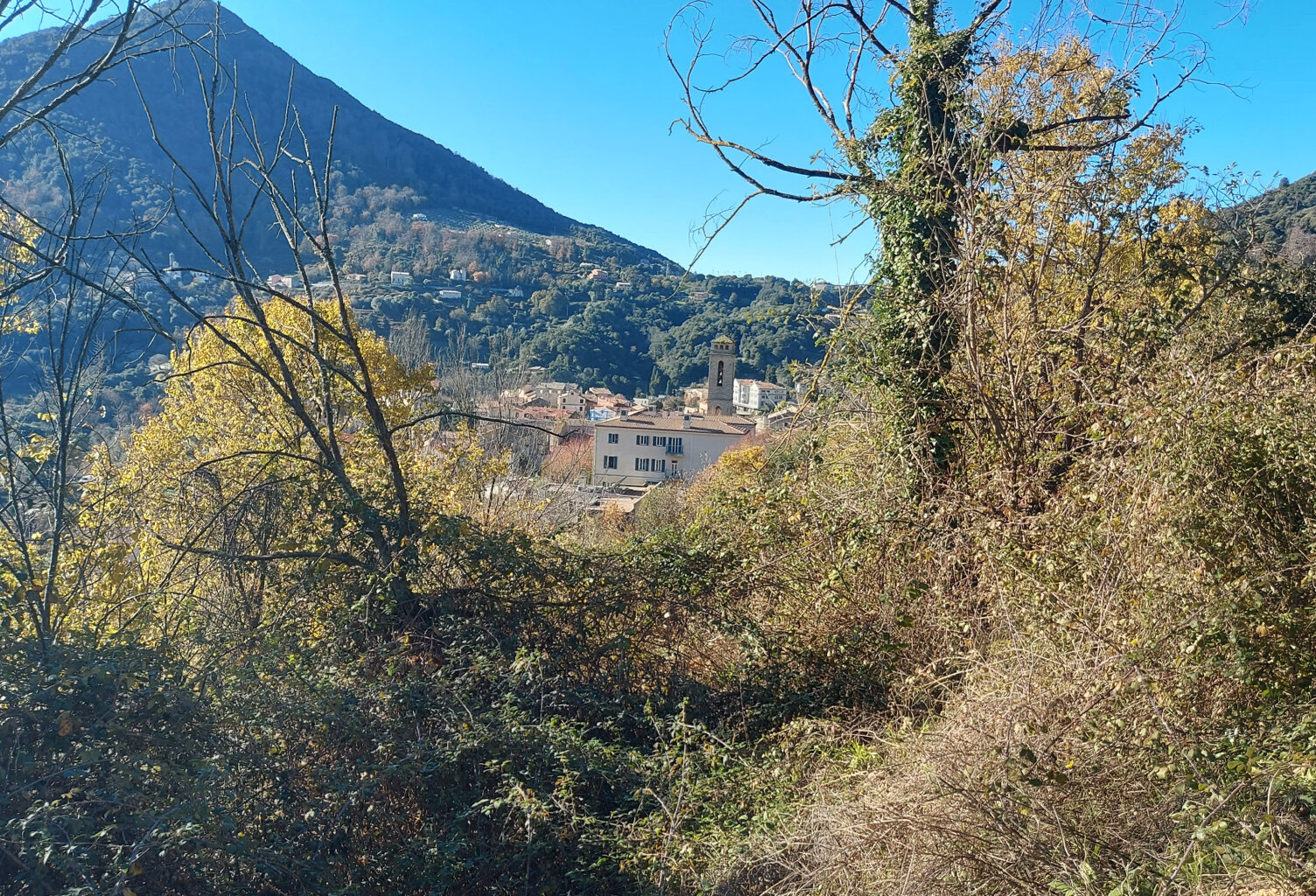 TERRAIN CONSTRUCTIBLE 2350 M2 -  VICO — photo 1