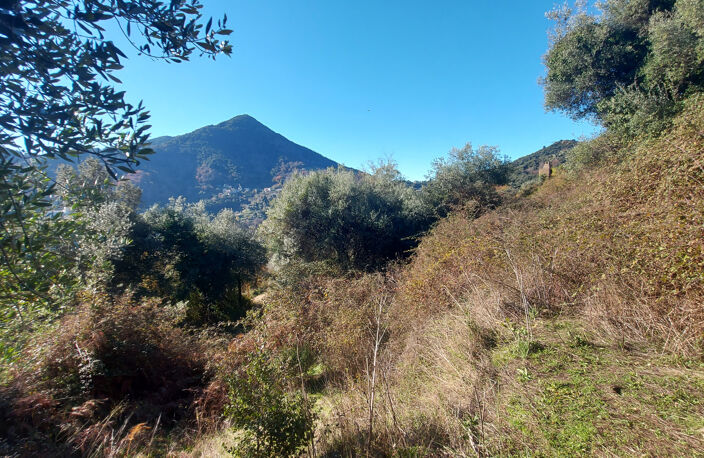 TERRAIN CONSTRUCTIBLE 2350 M2 -  VICO — photo 2