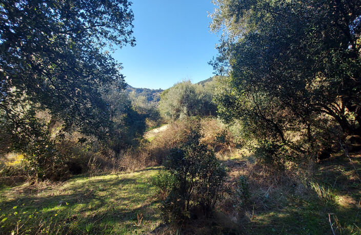 TERRAIN CONSTRUCTIBLE 2350 M2 -  VICO — photo 3