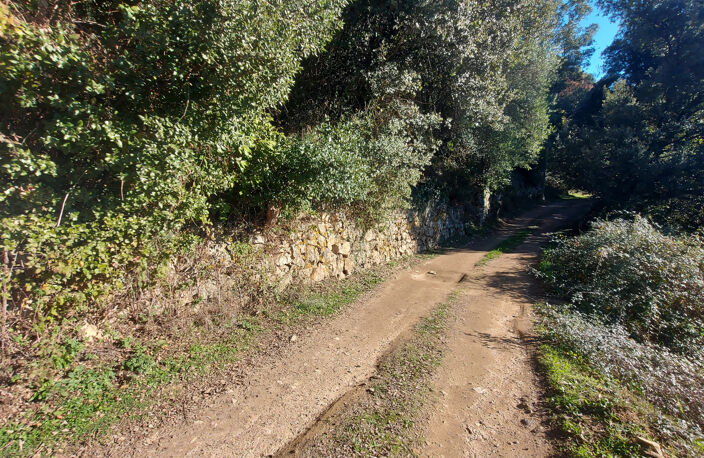 TERRAIN CONSTRUCTIBLE 2350 M2 -  VICO — photo 4