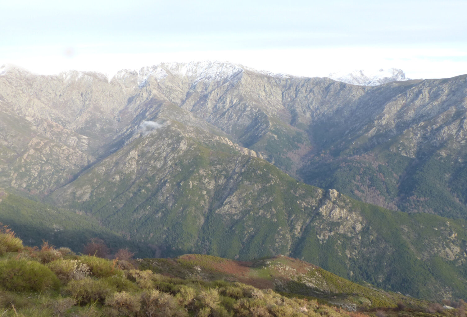 DOMAINE AGRICOLE LETIA - 60 HA — photo 1