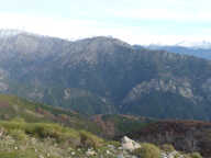 DOMAINE AGRICOLE LETIA - 60 HA — photo 2