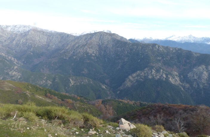 DOMAINE AGRICOLE LETIA - 60 HA — photo 2