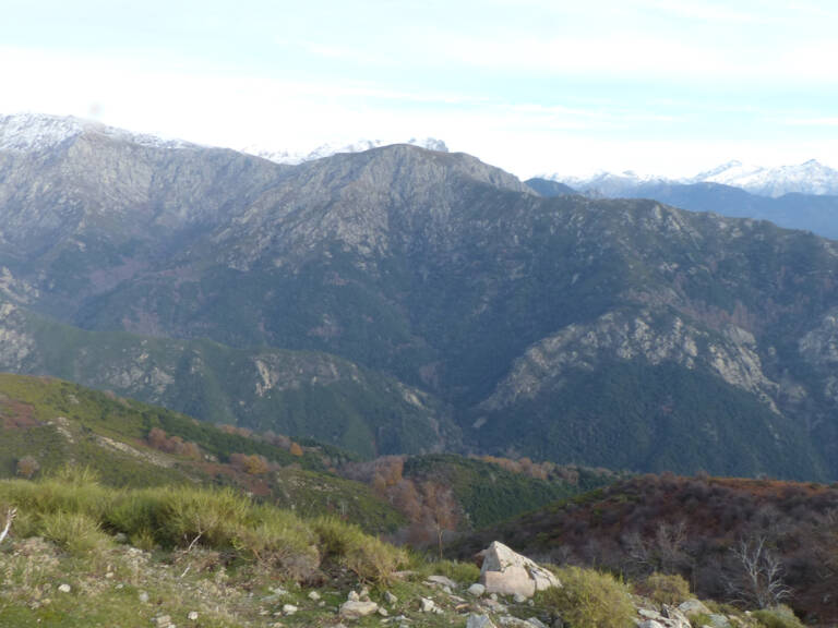 DOMAINE AGRICOLE LETIA - 60 HA — photo 1