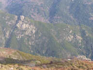 DOMAINE AGRICOLE LETIA - 60 HA — photo 3