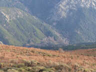DOMAINE AGRICOLE LETIA - 60 HA — photo 4