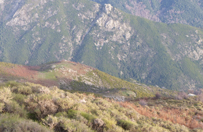 DOMAINE AGRICOLE LETIA - 60 HA — photo 5