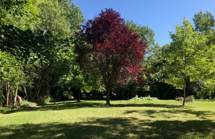 Charentaise en bord de la Boutonne, entre élégance ancienne et esprit de campagne — photo 5