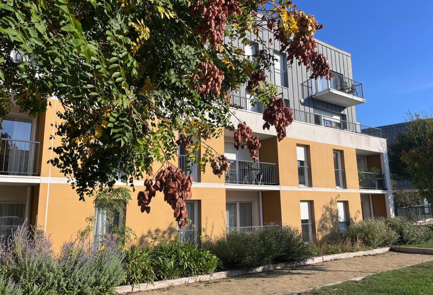 T3 - Investissement LMNP — photo 1