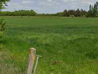 Faites construire votre maison 80.19 m² avec terrain à MARCILLY-LA-CAMPAGNE (27) ! — photo 2