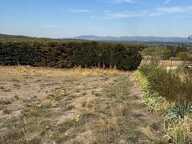 SAINT-CHRISTOL TERRAIN CONSTRUCTIBLE NON VIABILISE DE 902 m² - — photo 3