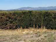 SAINT-CHRISTOL TERRAIN CONSTRUCTIBLE NON VIABILISE DE 902 m² - — photo 4