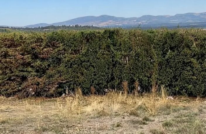 SAINT-CHRISTOL TERRAIN CONSTRUCTIBLE NON VIABILISE DE 902 m² - — photo 4