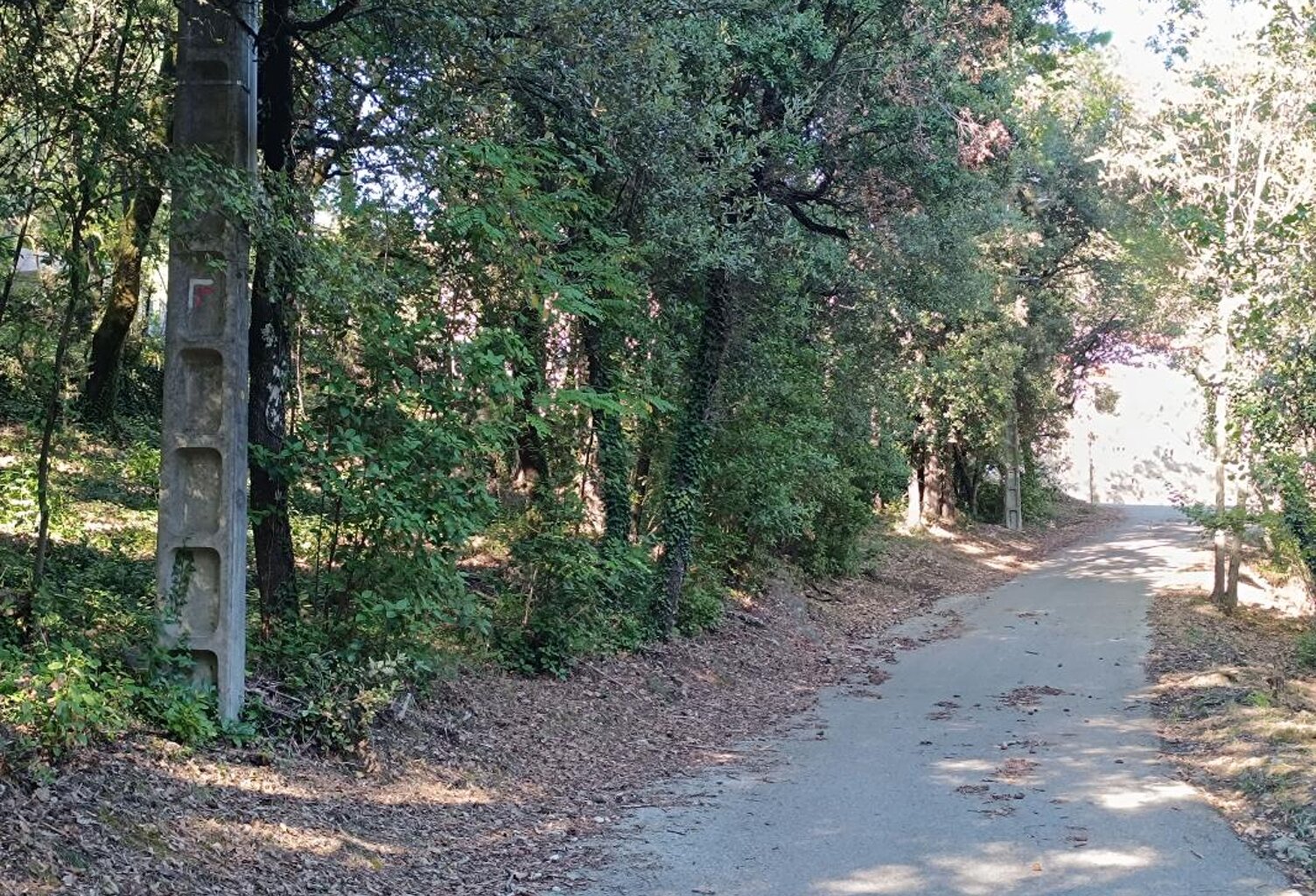 Bessèges (30160) – Terrain constructible de 1 439 m² sur les hauteurs à prix réduit — photo 1