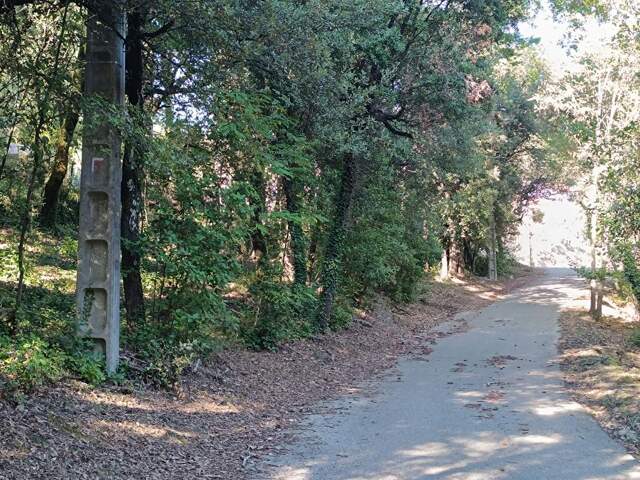 Bessèges (30160) – Terrain constructible de 1 439 m² sur les hauteurs à prix réduit — photo du bien