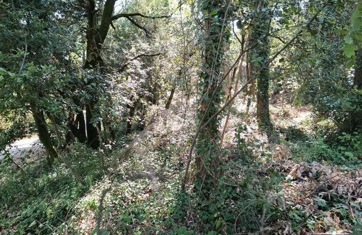 Bessèges (30160) – Terrain constructible de 1 439 m² sur les hauteurs à prix réduit — photo 4