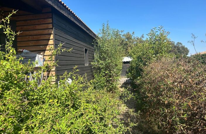 Maison À Vendre — photo 4