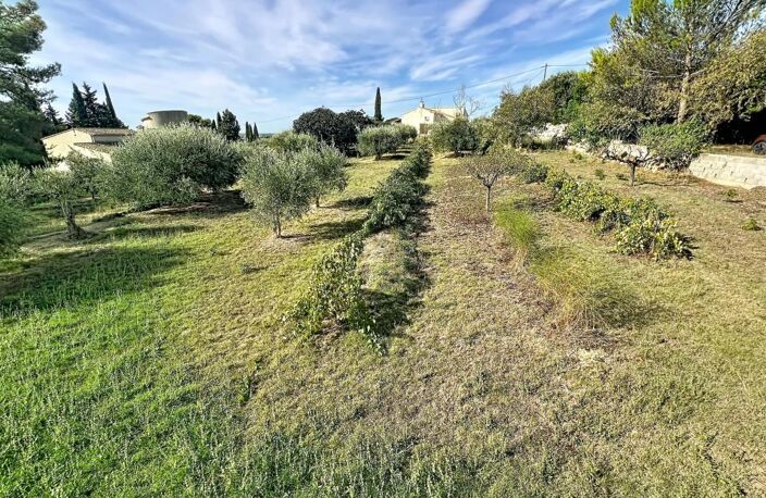 Maison À Vendre — photo 4