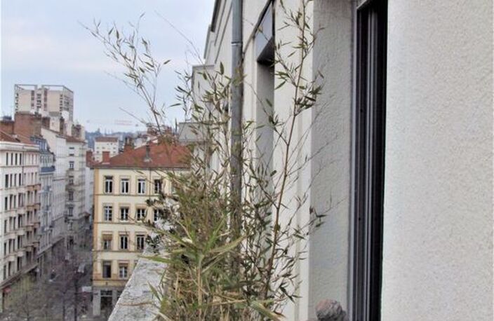Chambre de 12m2 à louer sur Lyon 06 — photo 4