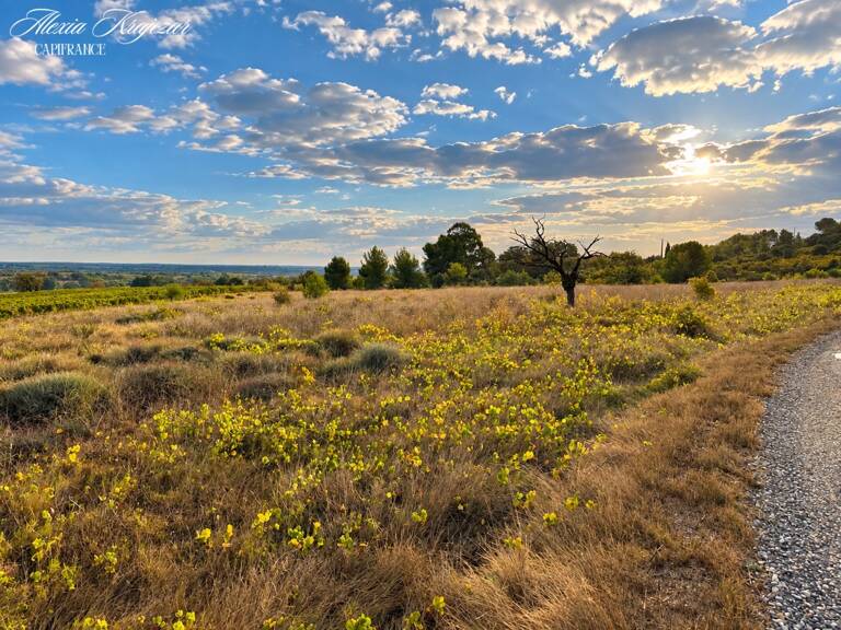 A VENDRE - Terrain Agricole, 10097m² - CORNEILHAN (34) — photo 1