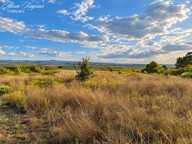 A VENDRE - Terrain Agricole, 10097m² - CORNEILHAN (34) — photo 3