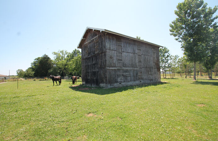 Ancien séchoir à tabac – 83 m² – Terrain de 5 428 m² – Potentiel de réhabilitation en habitation proche de CASTELJALOUX (47) — photo 2