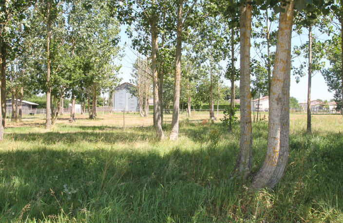 Ancien séchoir à tabac – 83 m² – Terrain de 5 428 m² – Potentiel de réhabilitation en habitation proche de CASTELJALOUX (47) — photo 5