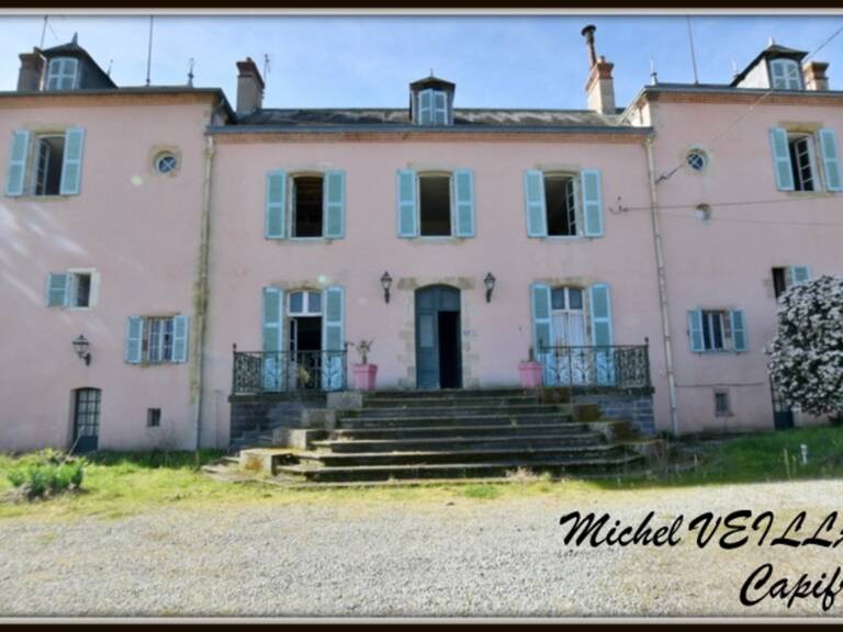 Propriété à vendre avec bâtisse de 15 pièces, 2 gîtes, terrain 7390 m², VILLENEUVE SUR ALLIER (03) — photo 1