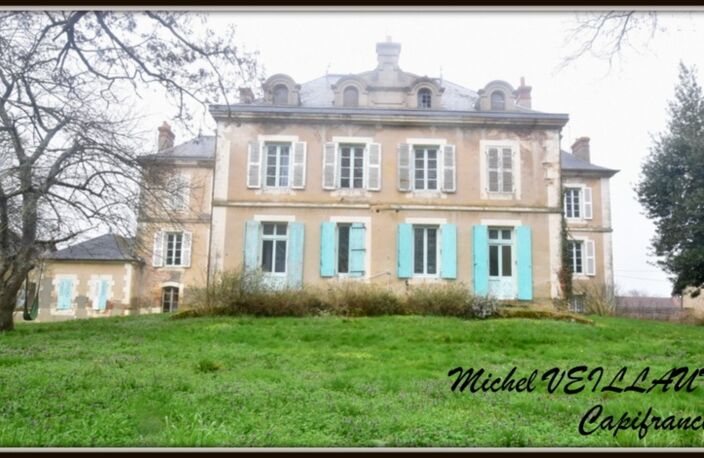 Propriété à vendre avec bâtisse de 15 pièces, 2 gîtes, terrain 7390 m², VILLENEUVE SUR ALLIER (03) — photo 3
