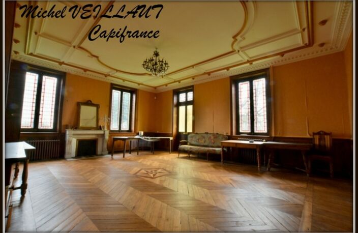 Propriété à vendre avec bâtisse de 15 pièces, 2 gîtes, terrain 7390 m², VILLENEUVE SUR ALLIER (03) — photo 4