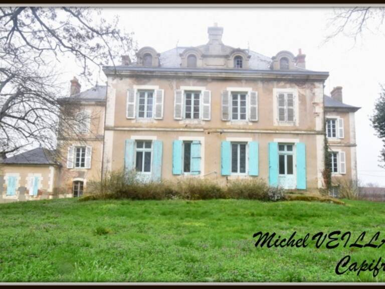 Propriété à vendre avec bâtisse de 15 pièces, 2 gîtes, terrain 7390 m², VILLENEUVE SUR ALLIER (03) — photo 1