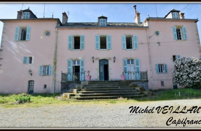 Propriété à vendre avec bâtisse de 15 pièces, 2 gîtes, terrain 7390 m², VILLENEUVE SUR ALLIER (03) — photo 2