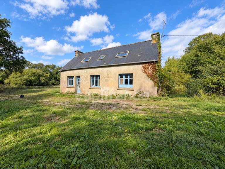 EXCLUSIVITÉ - TREBRIVAN - Maison avec terrain de plus de 2 hectares et dépendances à vendre 5 pièces  (22) — photo 1