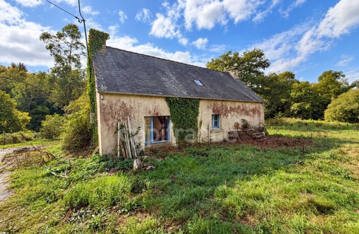 EXCLUSIVITÉ - TREBRIVAN - Maison avec terrain de plus de 2 hectares et dépendances à vendre 5 pièces  (22) — photo 2