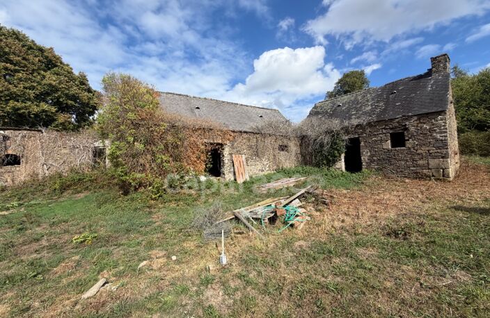 EXCLUSIVITÉ - TREBRIVAN - Maison avec terrain de plus de 2 hectares et dépendances à vendre 5 pièces  (22) — photo 3