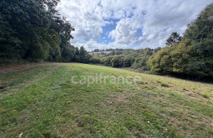 EXCLUSIVITÉ - TREBRIVAN - Maison avec terrain de plus de 2 hectares et dépendances à vendre 5 pièces  (22) — photo 4