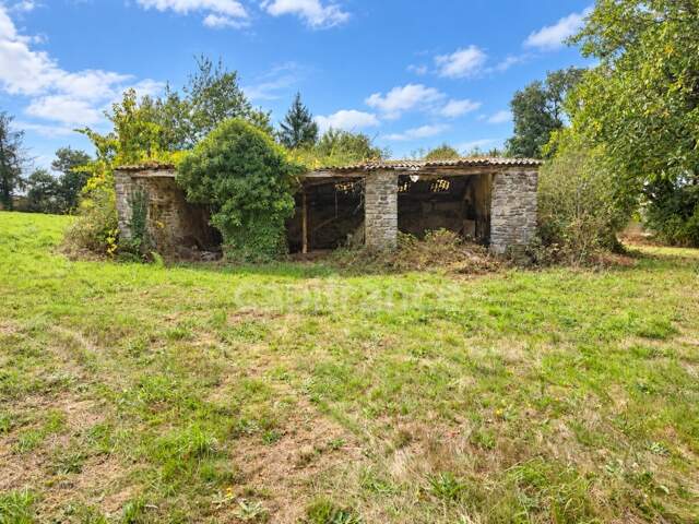 EXCLUSIVITÉ - TERRAIN AVEC HANGAR ET RUINE À TREBRIVAN — photo du bien